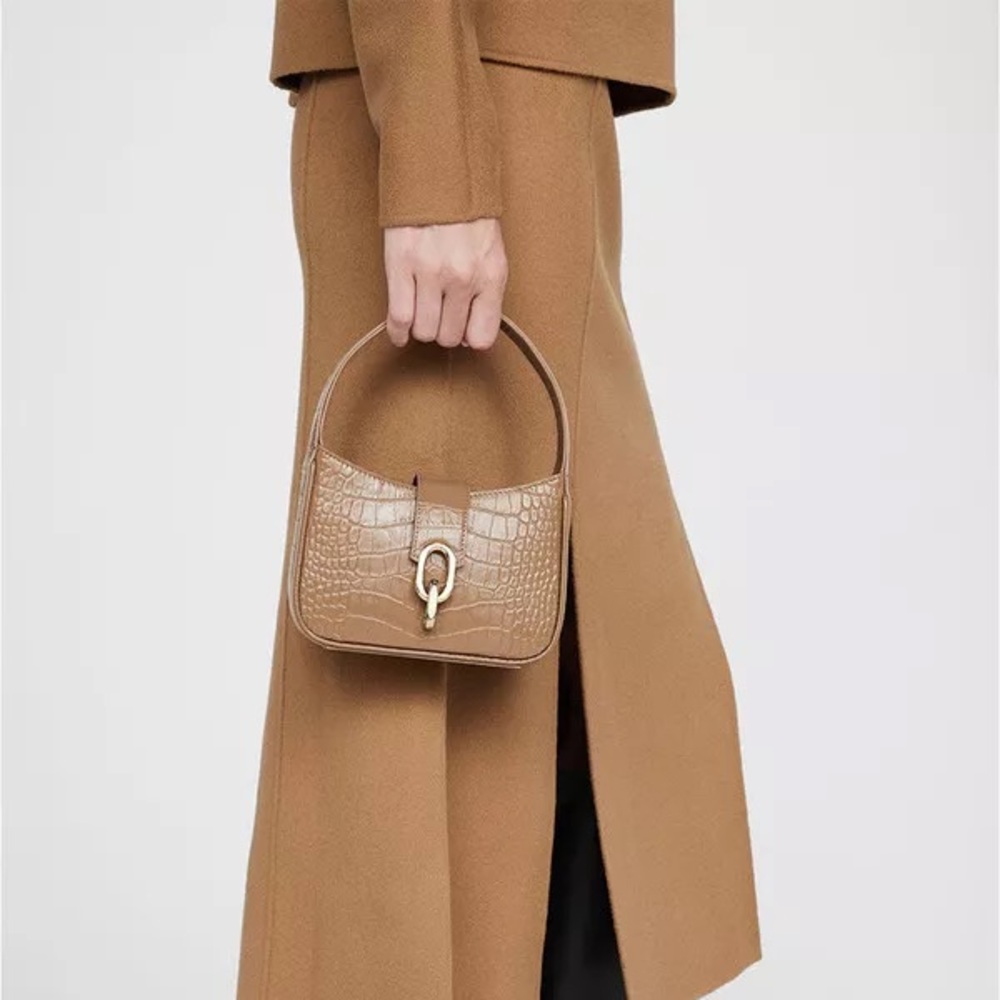 NWT WITH DUST BAG. Anine Bing Mini Cleo bag.